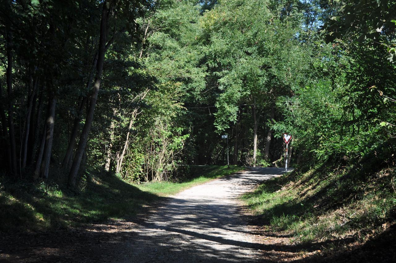 Villa Fior Di Robinia Giavera del Montello Eksteriør billede